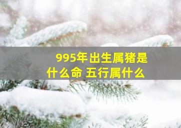 995年出生属猪是什么命 五行属什么